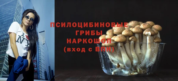 мет Арсеньев