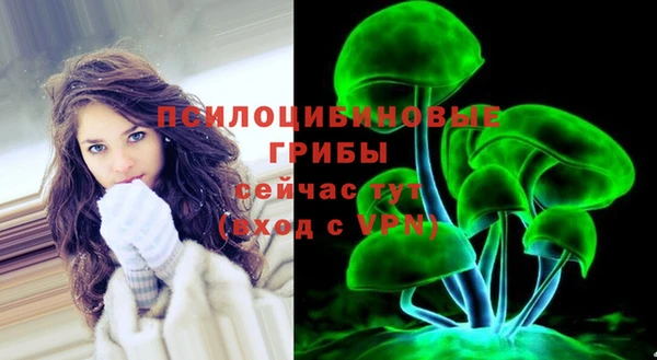 мет Арсеньев