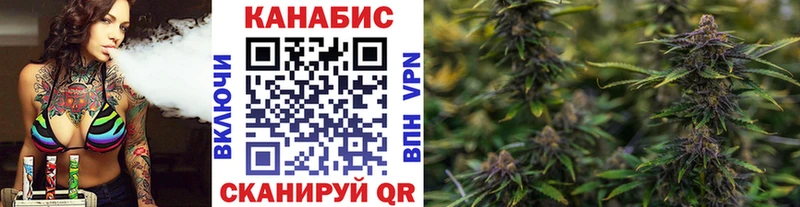 где купить наркоту  Петропавловск-Камчатский  Шишки марихуана планчик 